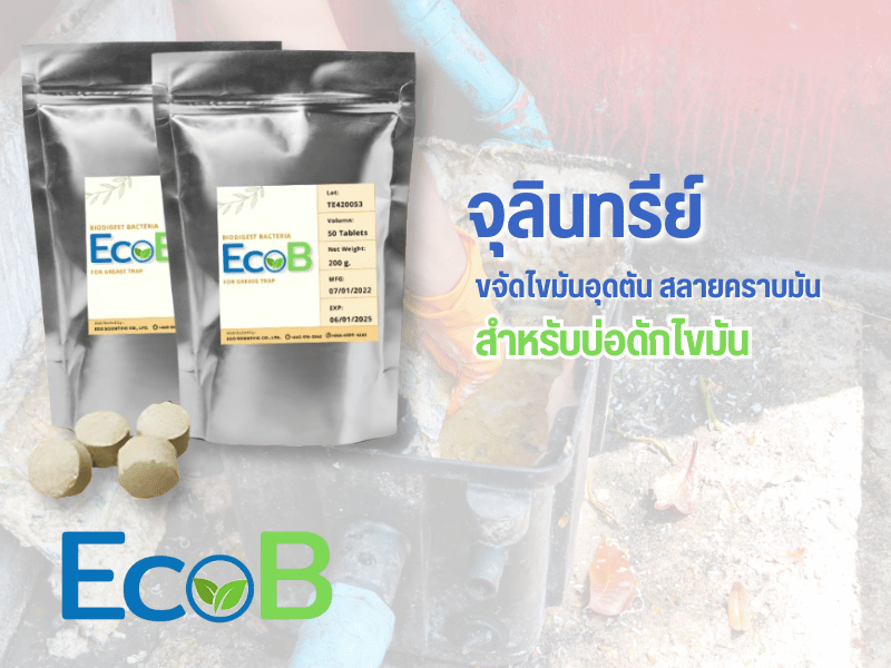 จำหน่ายเชื้อจุลทรีย์ในระบบน้ำเสีย
