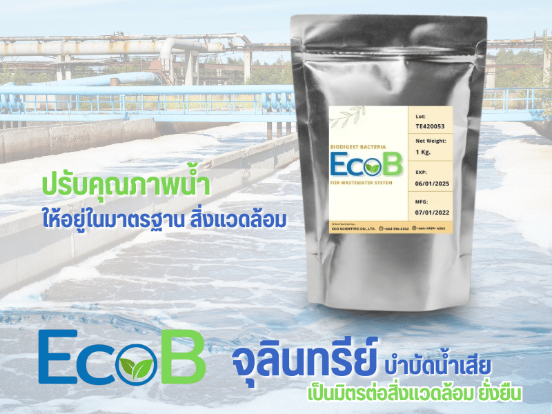 จำหน่ายเชื้อจุลทรีย์ในระบบน้ำเสีย