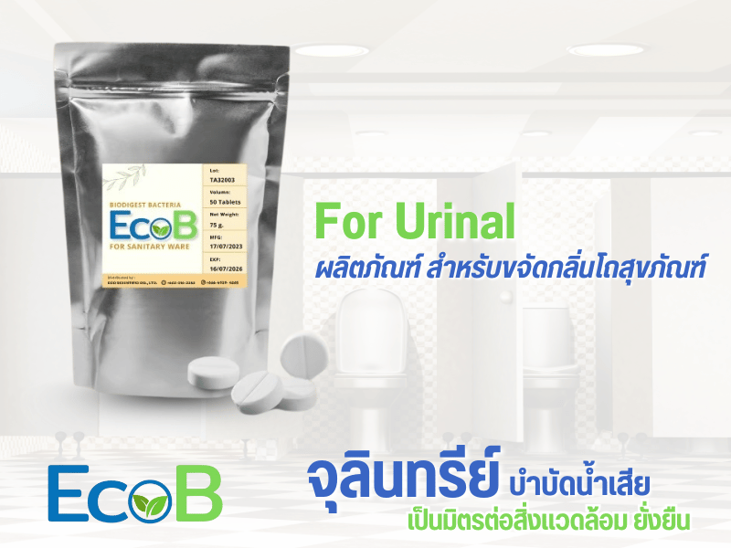 จำหน่ายเชื้อจุลินทรีย์สำหรับห้องน้ำและโถสุขภัณฑ์